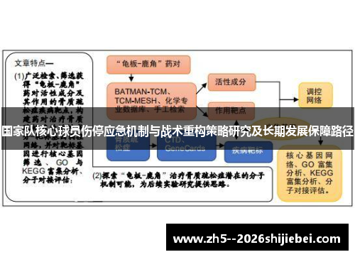 国家队核心球员伤停应急机制与战术重构策略研究及长期发展保障路径